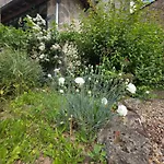 Chez Kahina Ancien Robert Отель типа 