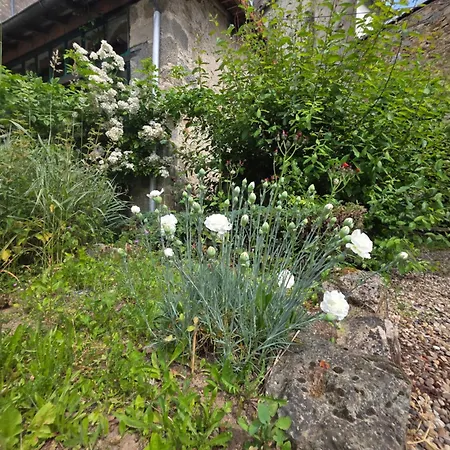 Chez Kahina Ancien Robert Oda ve Kahvaltı Giat