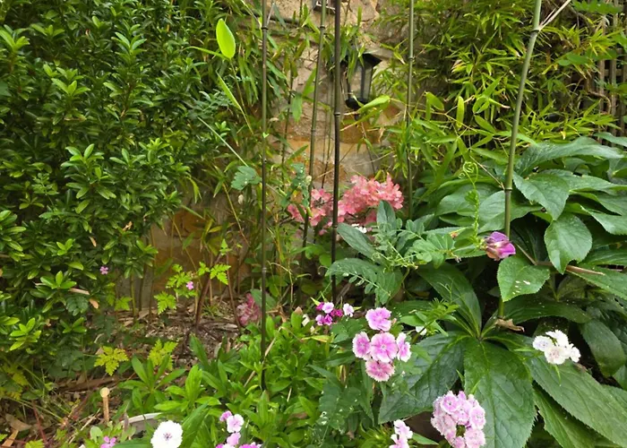 Chez Kahina Ancien Robert Bed & Breakfast 3*